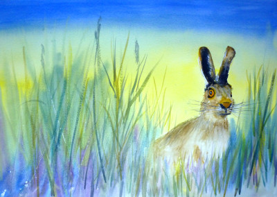 A startled hare in the long summer grass